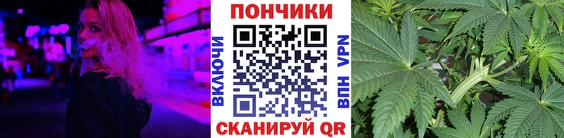 Канабис план Зима
